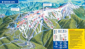 Mt Buller's Northern Slopes
